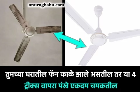 Solution to clean the fan